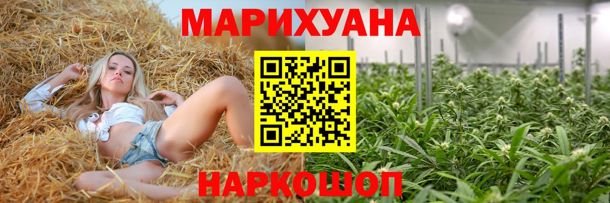 Ессентуки  Шишки марихуана OG Kush  Вход с VPN  Марихуана планчик  Конопля OG Kush 